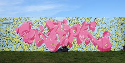 Coralle and Yellow and Light Blue Stylewriting by S.KAPE289 and Skape289. This Graffiti is located in Germany and was created in 2020. This Graffiti can be described as Stylewriting and Characters.