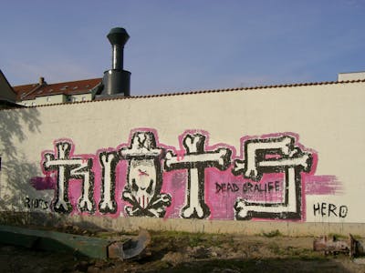 Black and Coralle Street Bombing by Riots. This Graffiti is located in Leipzig, Germany and was created in 2006. This Graffiti can be described as Street Bombing and Roll Up.