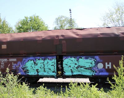 Cyan and Violet Stylewriting by TRD and Herz. This Graffiti is located in Dortmund, Germany and was created in 2023. This Graffiti can be described as Stylewriting, Trains and Freights.