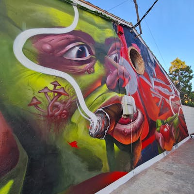 Light Green and Red Murals by Nexgraff. This Graffiti is located in Larraga, Spain and was created in 2021. This Graffiti can be described as Murals, 3D and Characters.