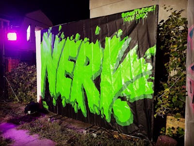 Light Green and Black Stylewriting by Nerv. This Graffiti is located in Novi Sad, Serbia and was created in 2022. This Graffiti can be described as Stylewriting and Canvas.