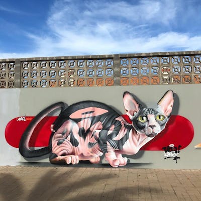 Colorful Stylewriting by ceser and Ceser87. This Graffiti is located in Gran Canaria, Spain and was created in 2019. This Graffiti can be described as Stylewriting, Characters and 3D.