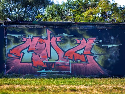Coralle and Black Stylewriting by Cime. This Graffiti is located in Szeged, Hungary and was created in 2023.
