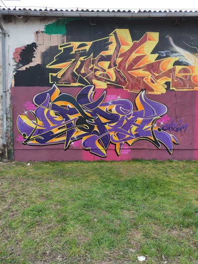 Violet and Orange and Coralle Stylewriting by Utopia and TOEK. This Graffiti is located in Radebeul, Germany and was created in 2023. This Graffiti can be described as Stylewriting and Wall of Fame.