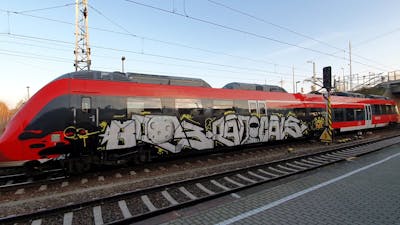 Black and Grey Stylewriting by bros, RCS, rizok, R120K and radials. This Graffiti is located in Leipzig, Germany and was created in 2021. This Graffiti can be described as Stylewriting, Characters and Trains.