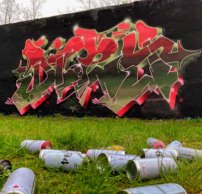 Colorful and Red Stylewriting by Dizy. This Graffiti is located in Potsdam, Germany and was created in 2021. This Graffiti can be described as Stylewriting and Wall of Fame.