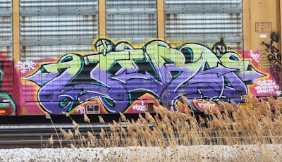 Violet Stylewriting by JERO. This Graffiti is located in United States and was created in 2024. This Graffiti can be described as Stylewriting, Freights and Trains.