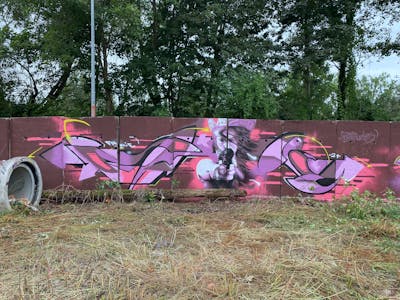 Violet and Coralle Special by Fakie. This Graffiti is located in Döbeln, Germany and was created in 2021. This Graffiti can be described as Special, Stylewriting and Characters.
