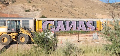 Coralle and Black Stylewriting by Canas. This Graffiti is located in United States and was created in 2023. This Graffiti can be described as Stylewriting, Trains, Freights and Wholecars.