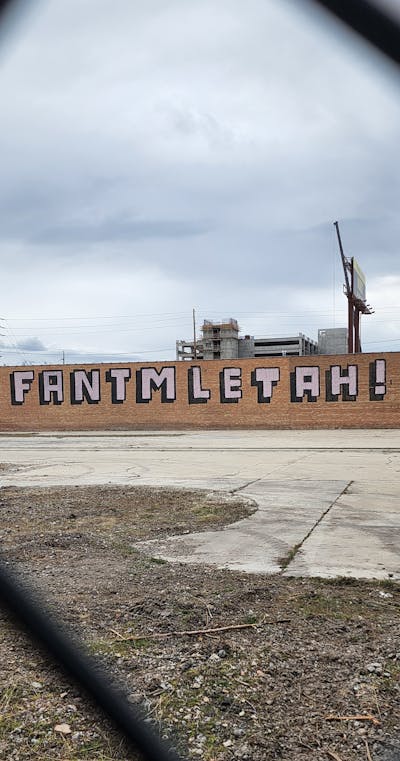 Coralle and Black Roll Up by fantm and Leta. This Graffiti is located in United States and was created in 2024.
