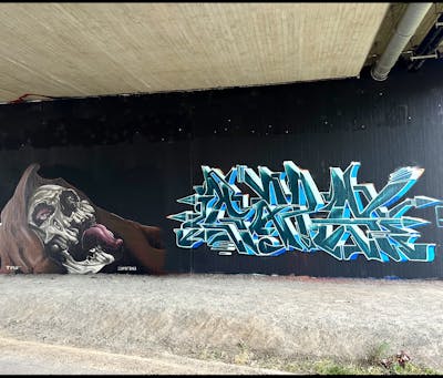 Brown and Grey and Cyan Stylewriting by Gaps and shmri. This Graffiti is located in Leipzig, Germany and was created in 2023. This Graffiti can be described as Stylewriting and Characters.