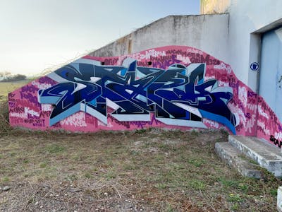 Blue and Coralle Stylewriting by STAPH, Kst, Alf, Twp and Yo. This Graffiti is located in Saint-Etienne, France and was created in 2021.