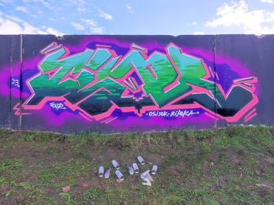 Light Green and Coralle and Violet Stylewriting by Tiger. This Graffiti is located in OSIJEK, Croatia and was created in 2023.