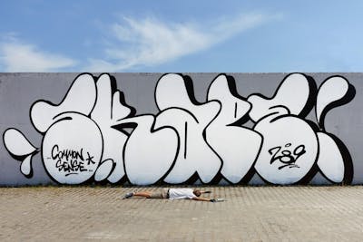 White and Black Stylewriting by S.KAPE289. This Graffiti was created in 2021 but its location is unknown. This Graffiti can be described as Stylewriting and Handstyles.