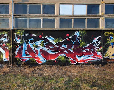Red and Light Blue and Colorful Stylewriting by Posa. This Graffiti is located in Delitzsch, Germany and was created in 2018. This Graffiti can be described as Stylewriting and Abandoned.