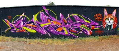 Violet and Colorful Stylewriting by angst. This Graffiti is located in Dessau, Germany and was created in 2023. This Graffiti can be described as Stylewriting, Characters, Wall of Fame and 3D.