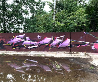Violet and Colorful Special by Kan. This Graffiti is located in Döbeln, Germany and was created in 2021. This Graffiti can be described as Special and Stylewriting.