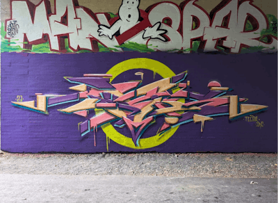 Violet and Beige and Coralle Stylewriting by TESAR. This Graffiti is located in Germany and was created in 2023. This Graffiti can be described as Stylewriting and Wall of Fame.