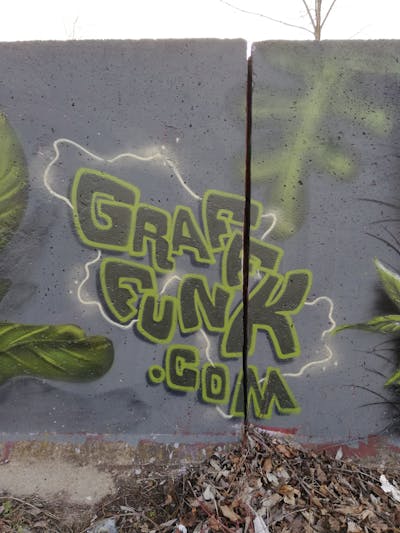 Light Green and Green Stylewriting by Graff.Funk and Sirom. This Graffiti is located in Döbeln, Germany and was created in 2022. This Graffiti can be described as Stylewriting and Wall of Fame.