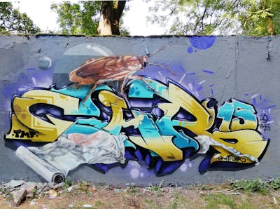 Colorful Stylewriting by Chr15. This Graffiti is located in Zwickau, Germany and was created in 2023. This Graffiti can be described as Stylewriting, Characters and Wall of Fame.