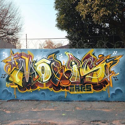Orange Stylewriting by Mars. This Graffiti is located in Johannesburg, South Africa and was created in 2021. This Graffiti can be described as Stylewriting, Wall of Fame and Special.