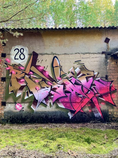 Colorful Stylewriting by Raitz. This Graffiti is located in Germany and was created in 2023. This Graffiti can be described as Stylewriting and Abandoned.