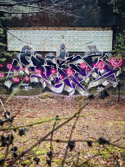 Violet and Black and Grey Stylewriting by Raitz. This Graffiti is located in Germany and was created in 2023. This Graffiti can be described as Stylewriting and Abandoned.
