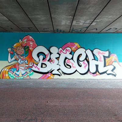 Colorful Stylewriting by Bitch_osk and Senpai. This Graffiti is located in Dordrecht, Netherlands and was created in 2022. This Graffiti can be described as Stylewriting, Characters and Wall of Fame.