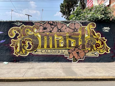 Brown and Yellow Stylewriting by Smash calavera. This Graffiti is located in Mexico city, Mexico and was created in 2022.