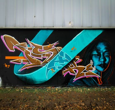 Brown and Cyan and Colorful Stylewriting by TESAR and Caplo. This Graffiti is located in Nürnberg, Germany and was created in 2023. This Graffiti can be described as Stylewriting, Characters and Wall of Fame.