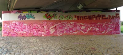 Coralle Wall of Fame by urine, OST and Cik. This Graffiti is located in Dresden, Germany and was created in 2014. This Graffiti can be described as Wall of Fame, Stylewriting, Characters and Streetart.