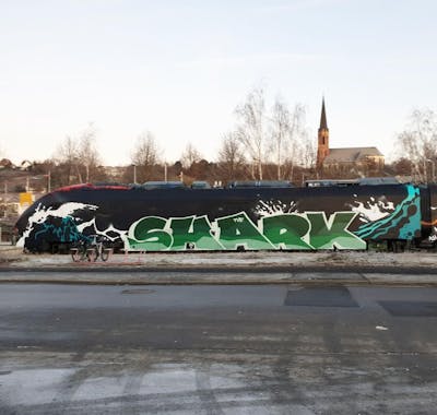 Green and Black Stylewriting by Shark. This Graffiti is located in Hamburg, Germany and was created in 2021. This Graffiti can be described as Stylewriting and Wholecars.