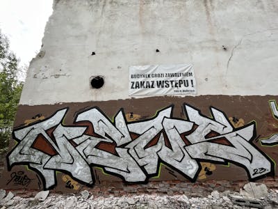 Chrome and Brown and Black Stylewriting by News. This Graffiti is located in Walbrzych, Poland and was created in 2023. This Graffiti can be described as Stylewriting and Abandoned.