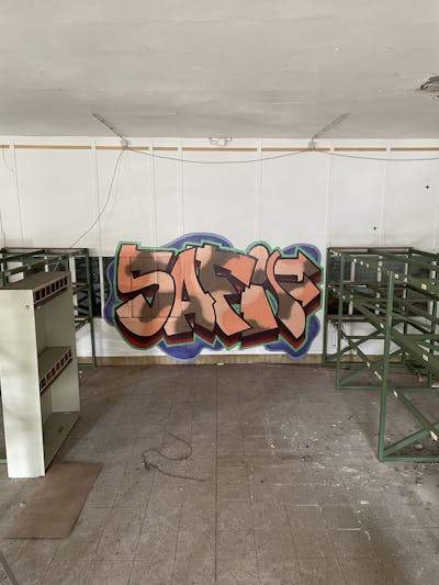Colorful Stylewriting by Safi. This Graffiti is located in Döbeln, Germany and was created in 2022. This Graffiti can be described as Stylewriting and Abandoned.