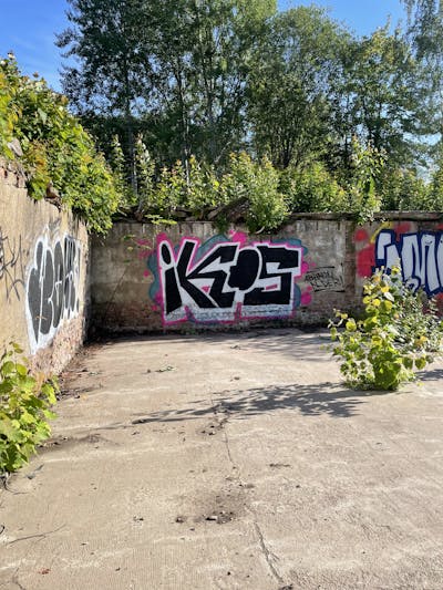 White and Black Stylewriting by IKOS. This Graffiti is located in Döbeln, Germany and was created in 2022. This Graffiti can be described as Stylewriting and Abandoned.
