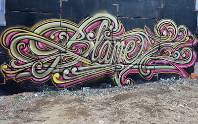 Gold and Coralle Stylewriting by BLAME. This Graffiti is located in Perth, Australia and was created in 2022.