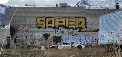 Beige and Colorful Roll Up by Soper. This Graffiti is located in United States and was created in 2024. This Graffiti can be described as Roll Up, Street Bombing and Abandoned.