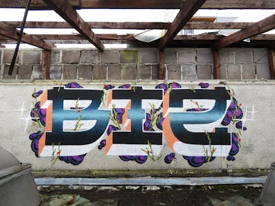 Colorful Stylewriting by BIZ. This Graffiti is located in Slovakia and was created in 2021. This Graffiti can be described as Stylewriting and Abandoned.
