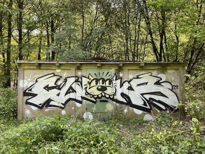 White and Black Stylewriting by Fluks. This Graffiti is located in MÜNSTER, Germany and was created in 2023. This Graffiti can be described as Stylewriting, Characters and Abandoned.