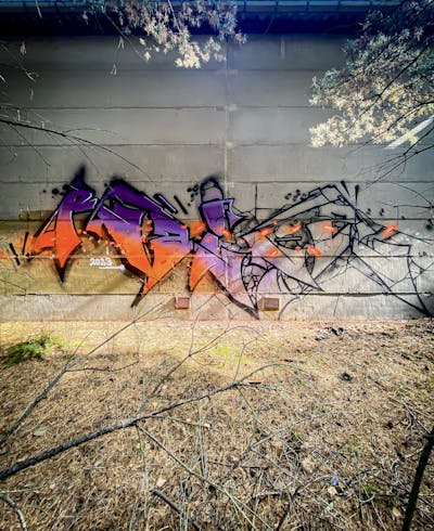 Orange and Violet Stylewriting by Raitz. This Graffiti is located in Germany and was created in 2023. This Graffiti can be described as Stylewriting, Abandoned and Atmosphere.