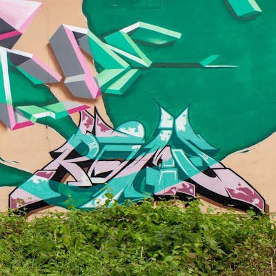 Beige and Light Green and Coralle Murals by roms. This Graffiti is located in Radebeul, Germany and was created in 2022. This Graffiti can be described as Murals, Special and Stylewriting.