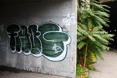 Green and White Throw Up by Frogh. This Graffiti is located in Budapest, Hungary and was created in 2012.