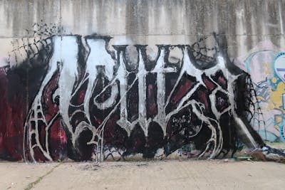 Chrome Stylewriting by P.Butza. This Graffiti is located in Palma de Mallorca, Spain and was created in 2022. This Graffiti can be described as Stylewriting and Abandoned.