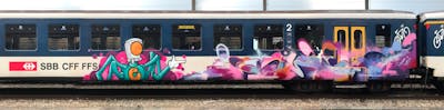 Colorful and Coralle Stylewriting by casom, home 87 and spidercapsandco. This Graffiti is located in Radebeul, Germany and was created in 2019. This Graffiti can be described as Stylewriting, Trains and Characters.