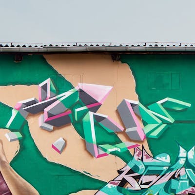 Beige and Light Green and Coralle Murals by Kan. This Graffiti is located in Radebeul, Germany and was created in 2022. This Graffiti can be described as Murals, Special, Stylewriting and 3D.