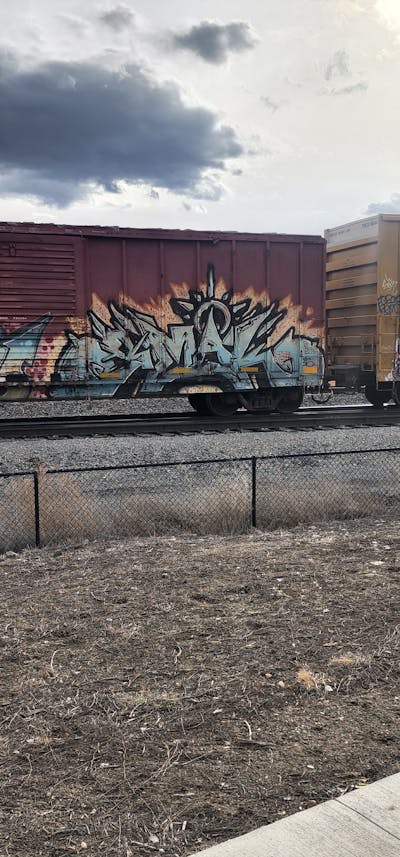 Grey and Colorful Stylewriting by Smak. This Graffiti is located in United States and was created in 2016. This Graffiti can be described as Stylewriting, Trains and Freights.