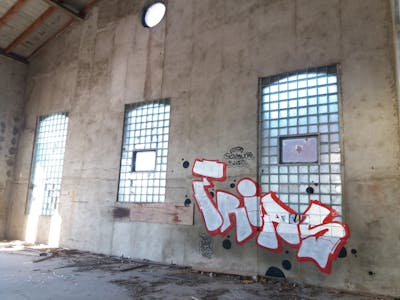 Red and Chrome Stylewriting by Trias. This Graffiti is located in Germany and was created in 2023. This Graffiti can be described as Stylewriting and Abandoned.