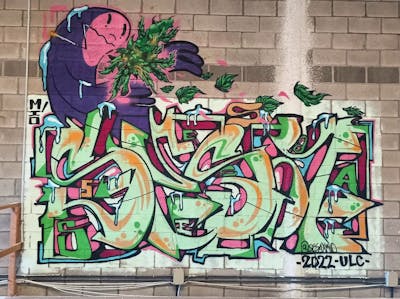 Colorful Stylewriting by Sesa. This Graffiti is located in Sevilla, Spain and was created in 2022. This Graffiti can be described as Stylewriting and Characters.