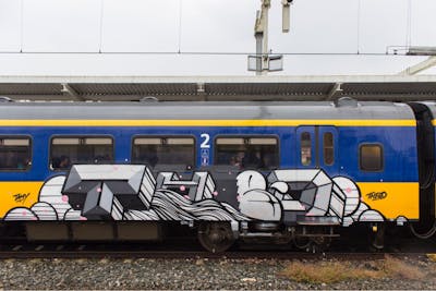 Grey and White Stylewriting by Nase pop. This Graffiti is located in Netherlands and was created in 2019. This Graffiti can be described as Stylewriting, Trains and Futuristic.