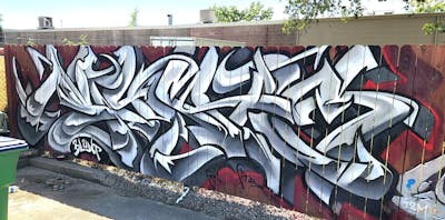 Grey Stylewriting by Mynas. This Graffiti is located in United States and was created in 2024.